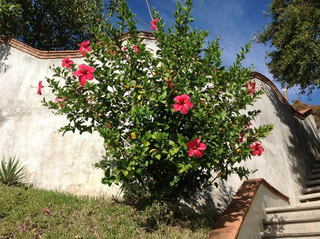 Casa Flor De Mar Hotel Zipolite Exterior foto