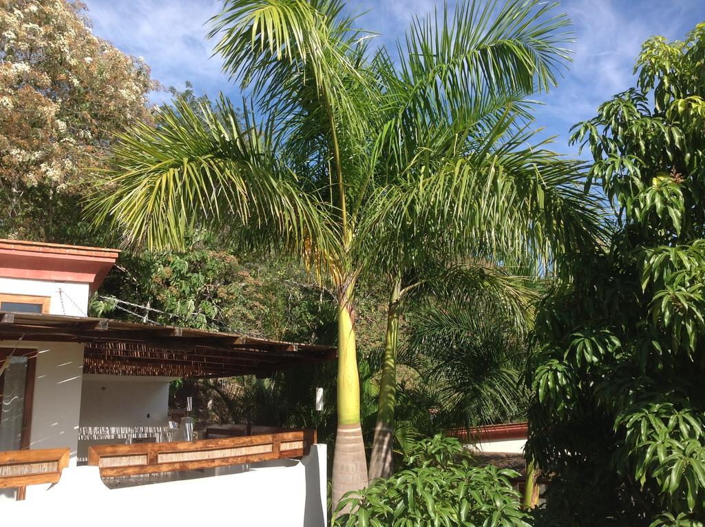 Casa Flor De Mar Hotel Zipolite Exterior foto